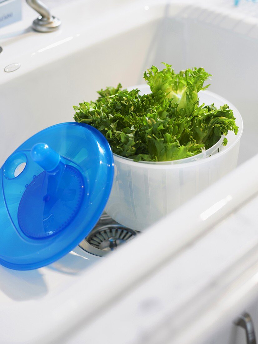 Lettuce in salad spinner in sink