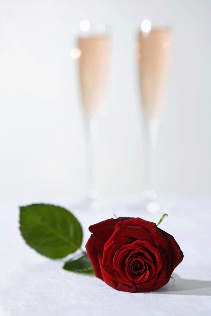 Red rose in front of two champagne flutes