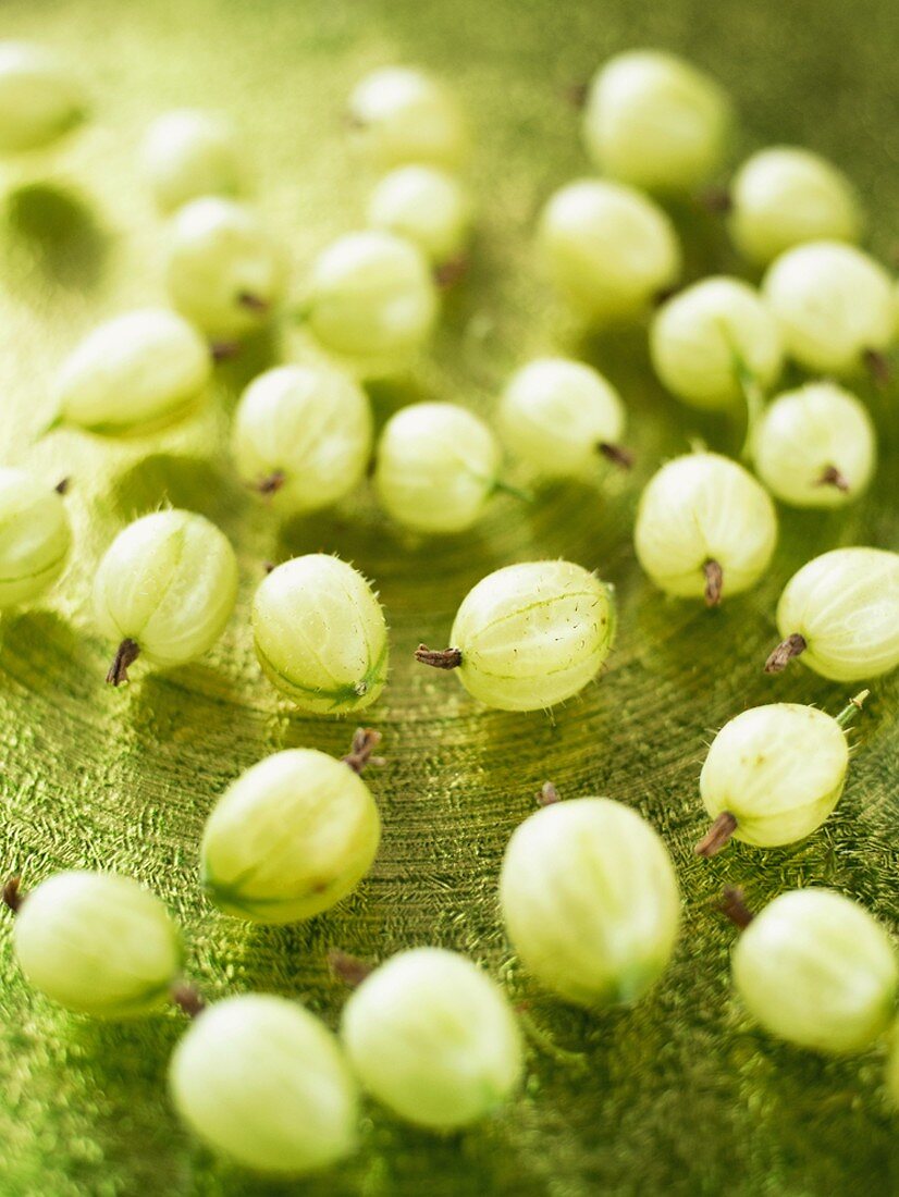 Green gooseberries