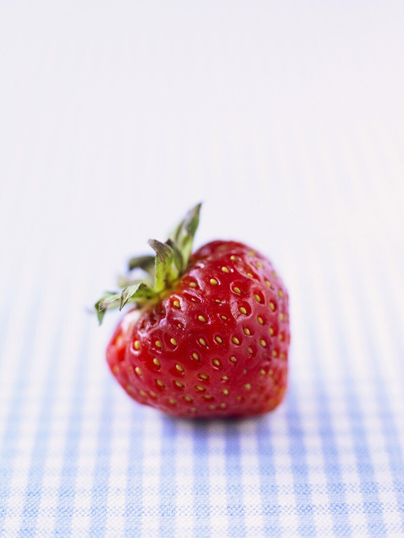 A strawberry on checked fabric
