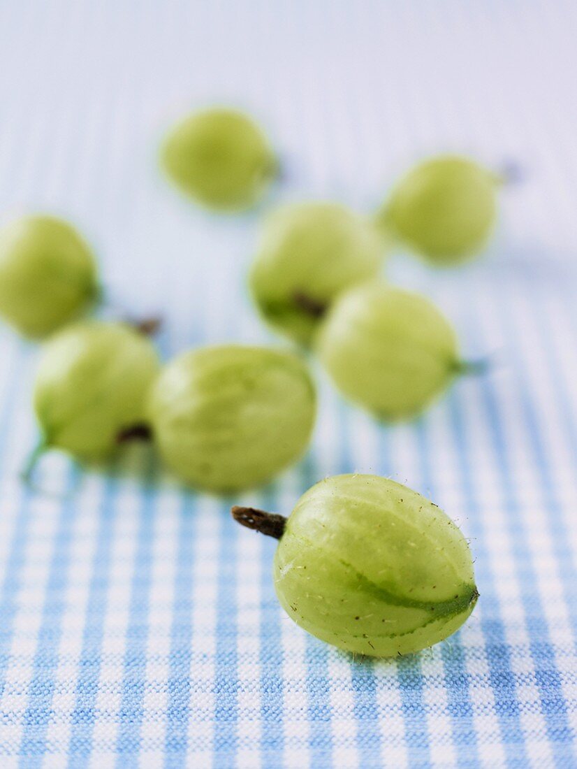 Gooseberries on checked fabric