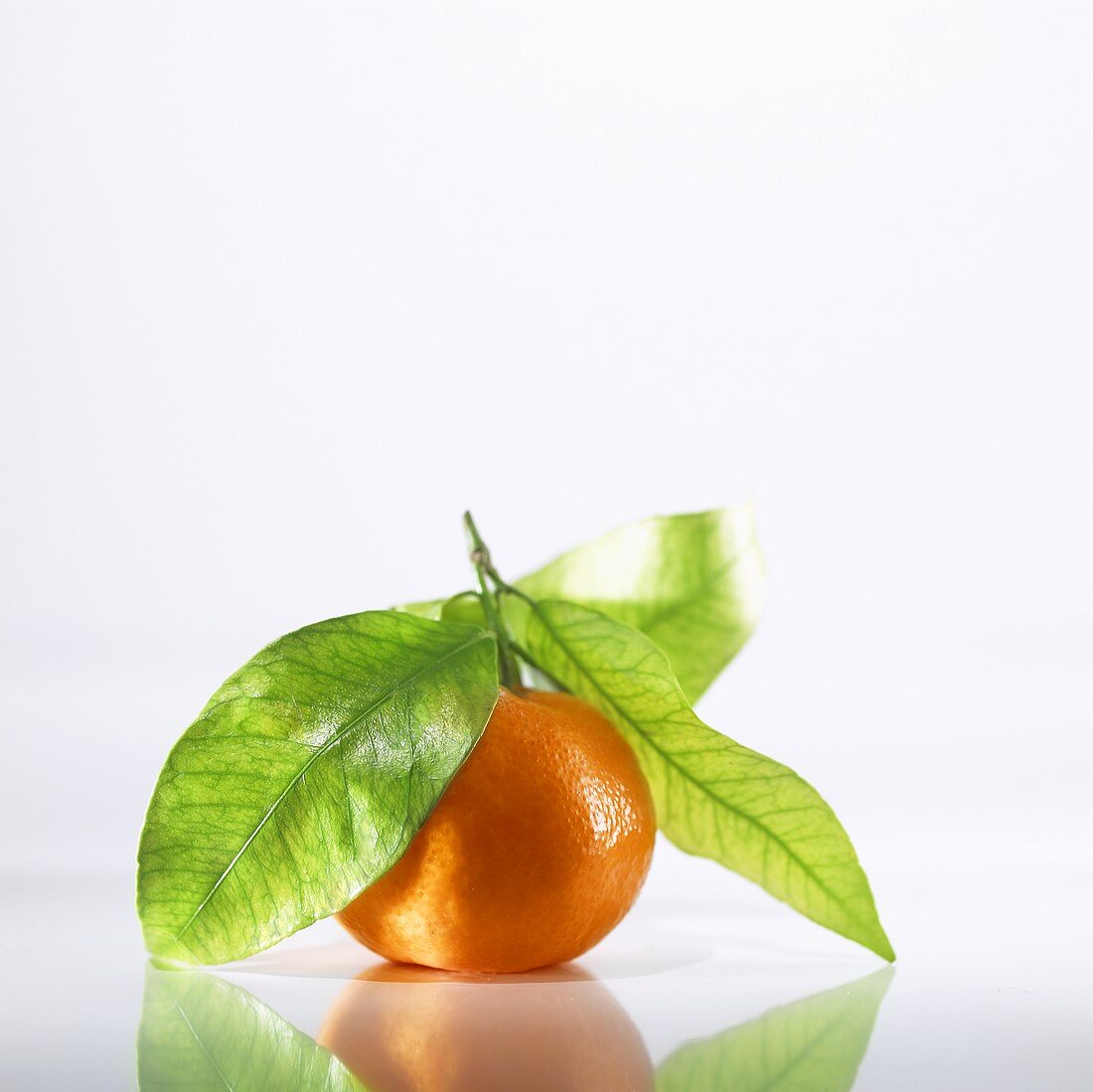 Eine Mandarine mit Blätter