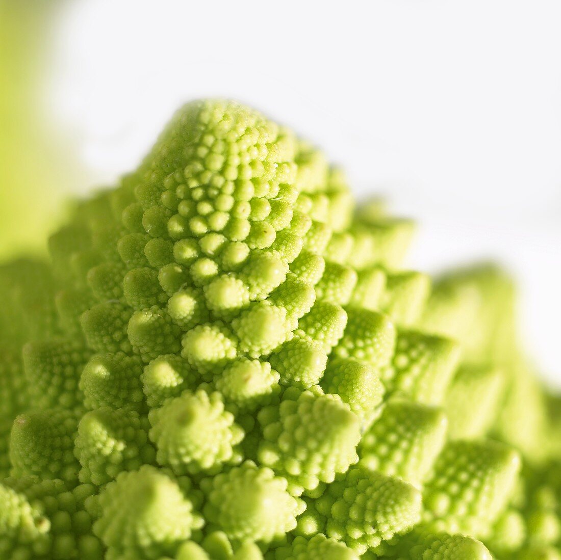 Romanesco