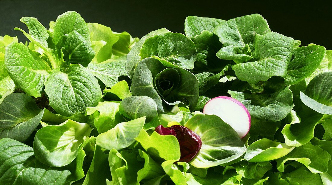 Mixed salad leaves with slice of radish