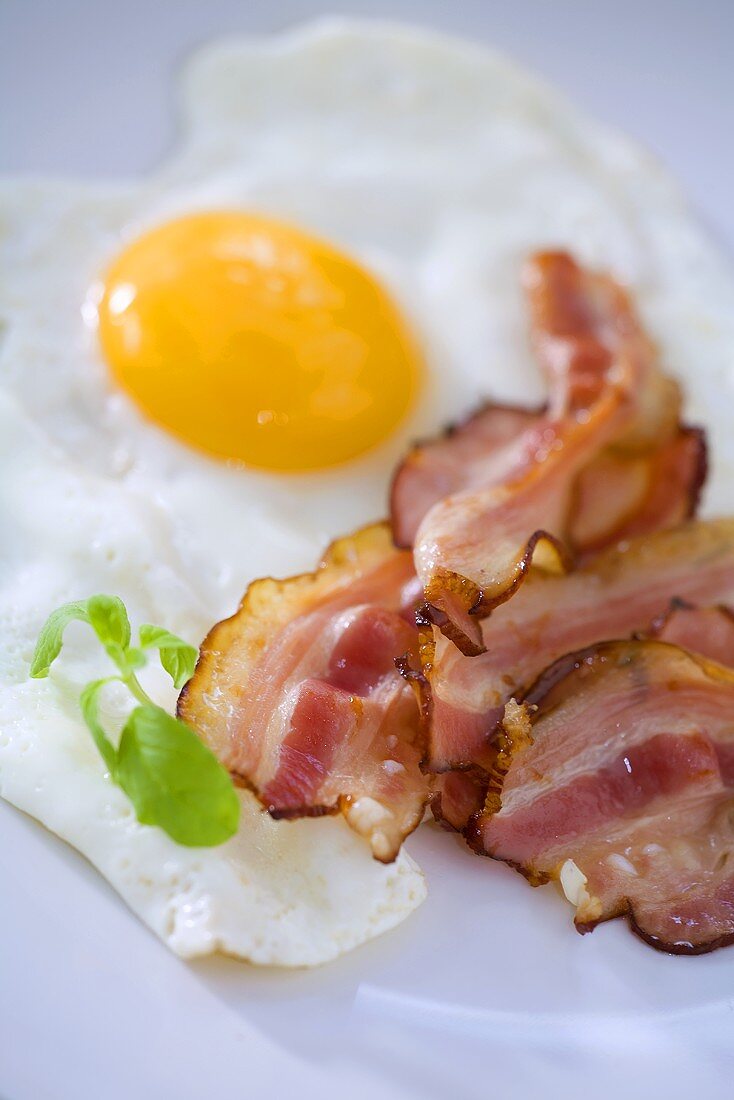 Fried bacon and egg