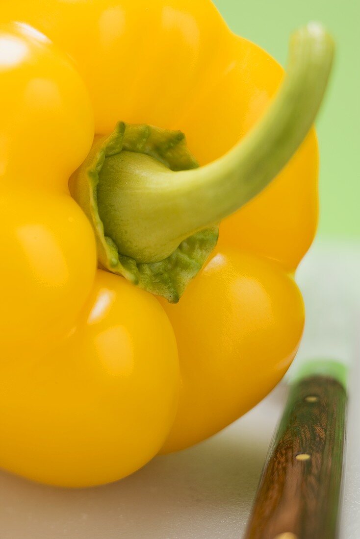 Yellow pepper with stalk