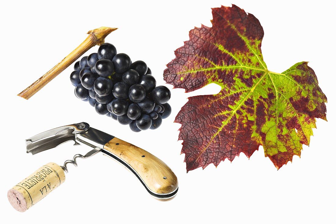 Corkscrew, grapes and vine leaf