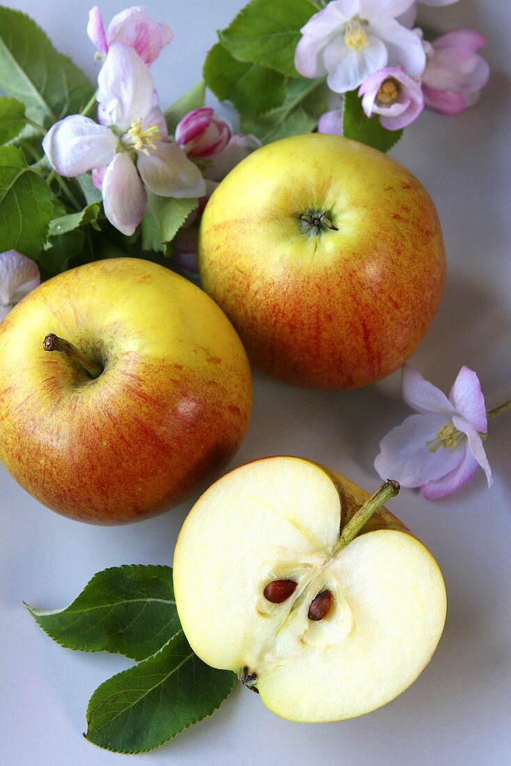 Two whole apples and half an apple with blossom