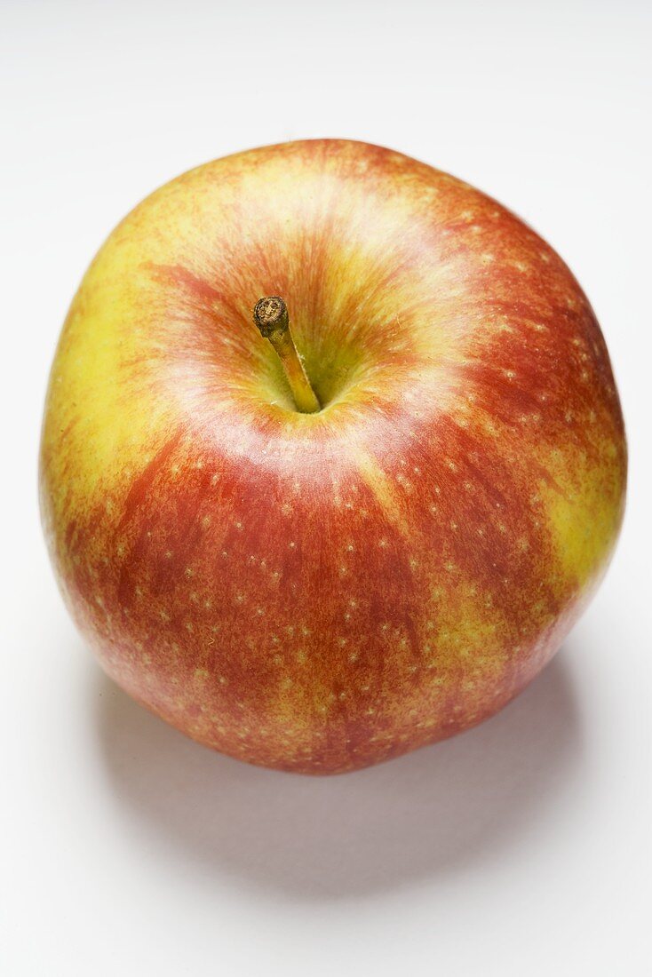 Fresh apple, variety 'Elstar'