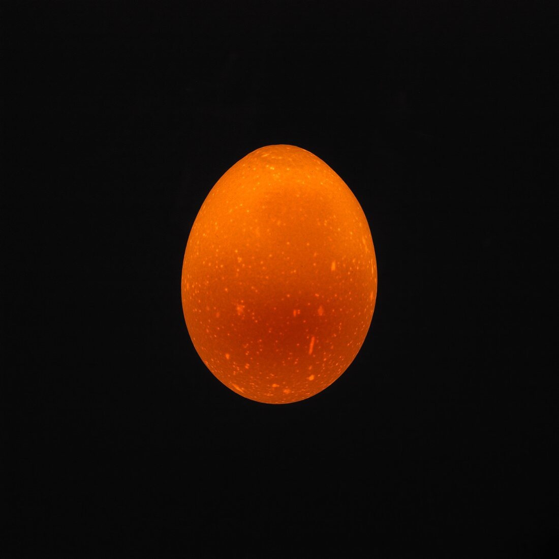 Ein Ei (durchleuchtet)