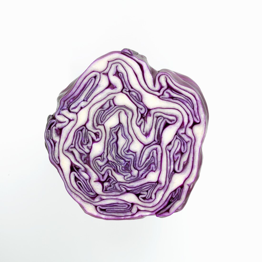 Half of a red cabbage