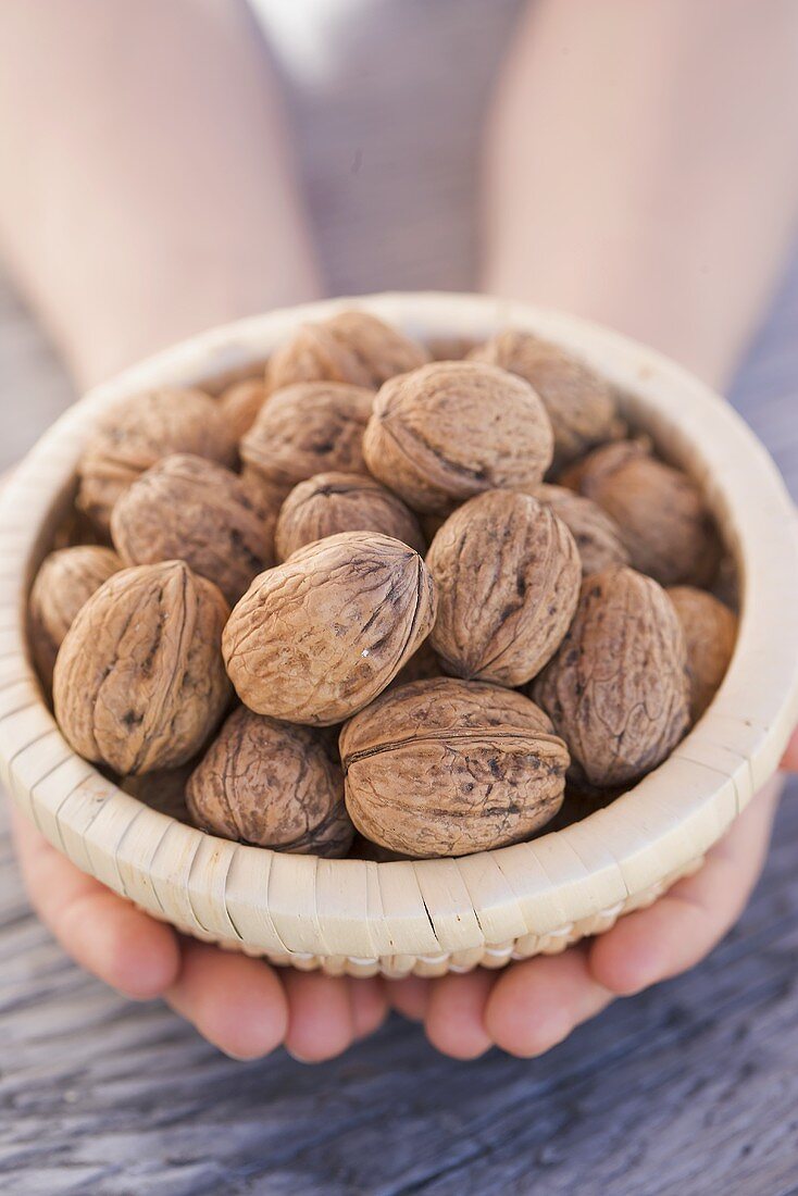 Hands holding basket of walnuts