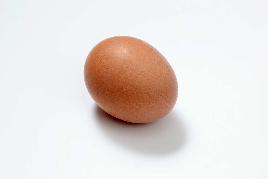 Egg