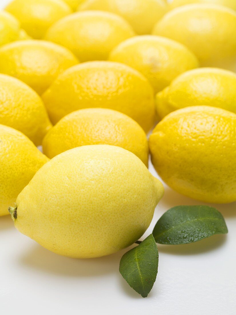 Viele Zitronen und zwei Zitronenblätter
