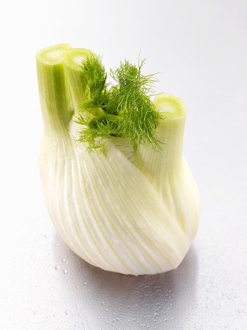 A fennel bulb