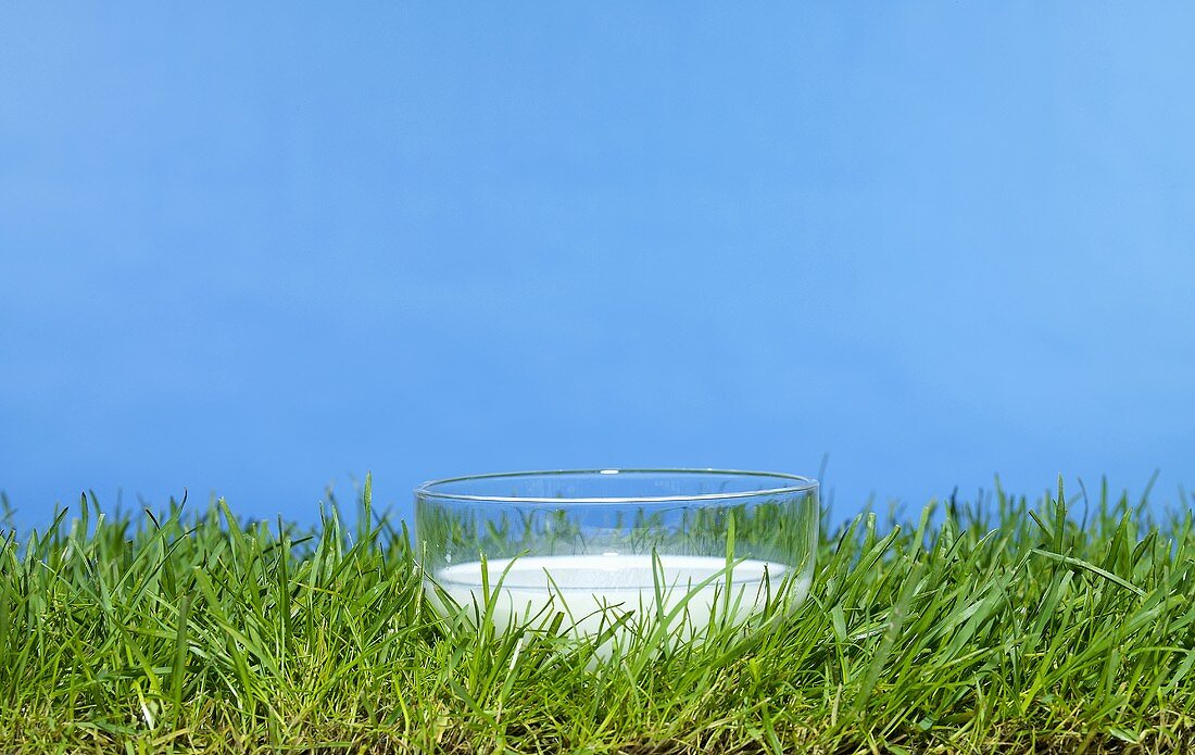 Bowl of milk in grass