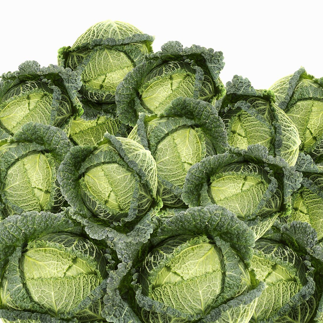 Many savoy cabbages