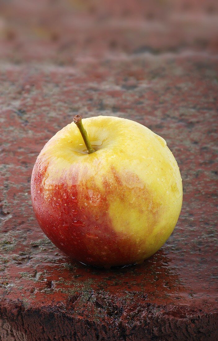 Fresh apple on wet brick