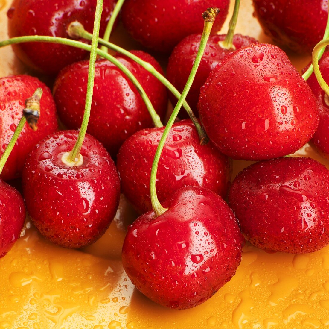 Fresh cherries with drops of water (close-up)