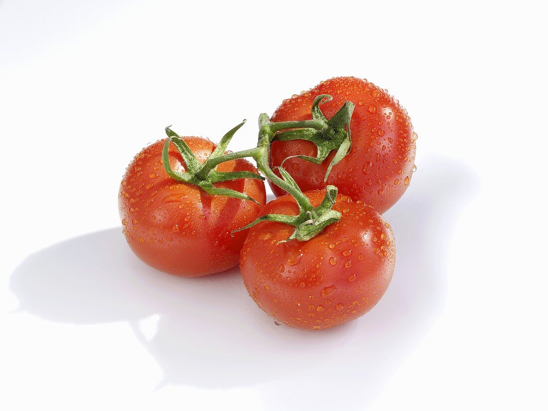 Three Tomatoes with Water Drops on White Background
