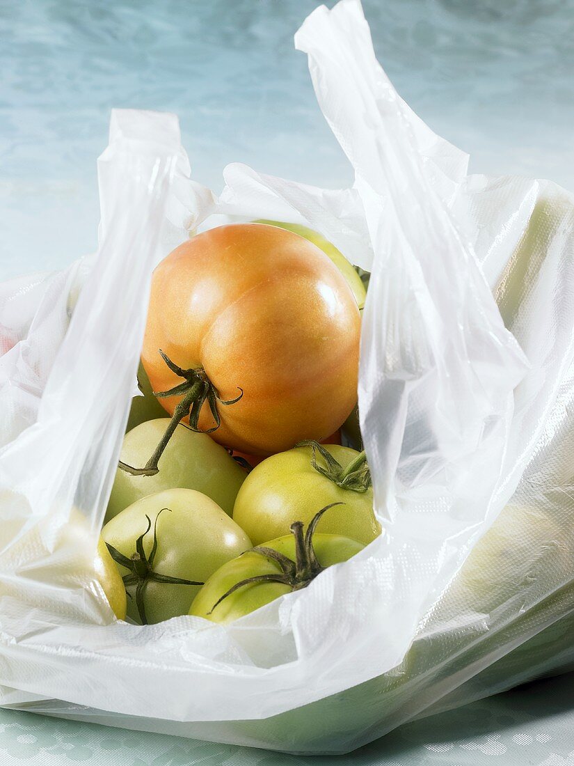 Tomaten in Plastiktüte