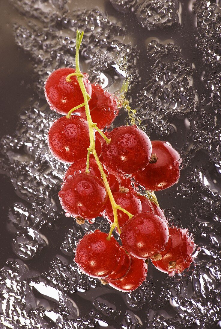 Redcurrants on mirror