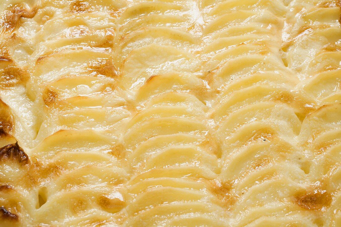 Potato gratin (detail)