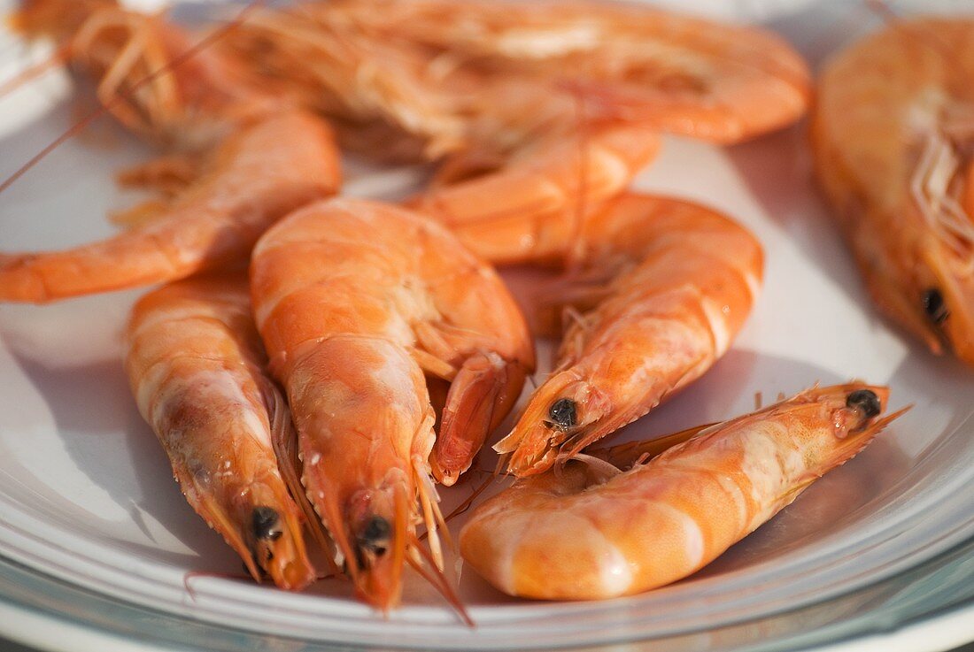 Cooked prawns on plate