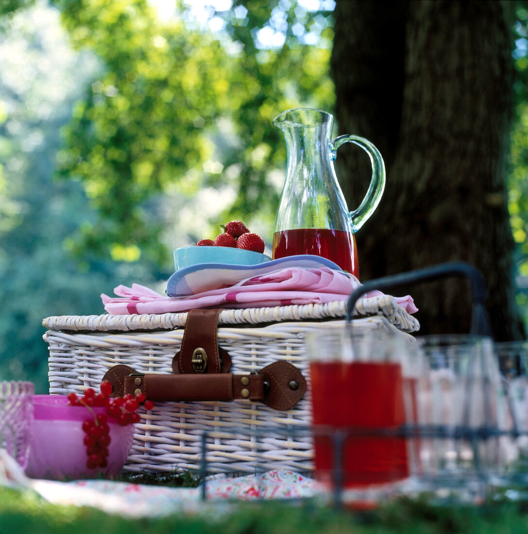 Picnic basket with berries and glass jug with juice in garden