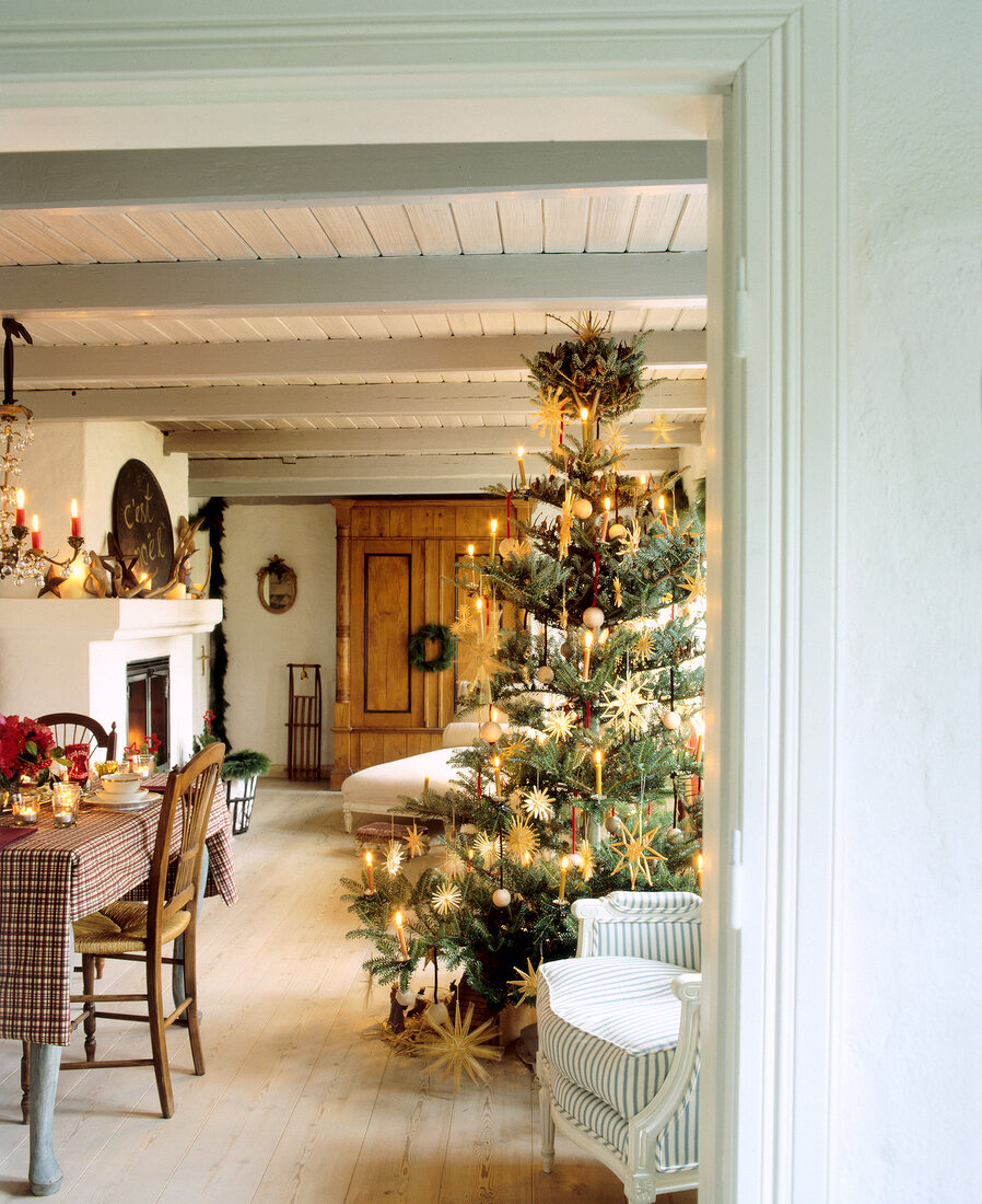 Dining room with illuminated Christmas tree