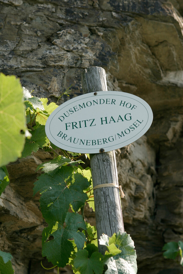 Fritz Haag Weingut in Brauneberg Rheinland-Pfalz Rheinland Pfalz