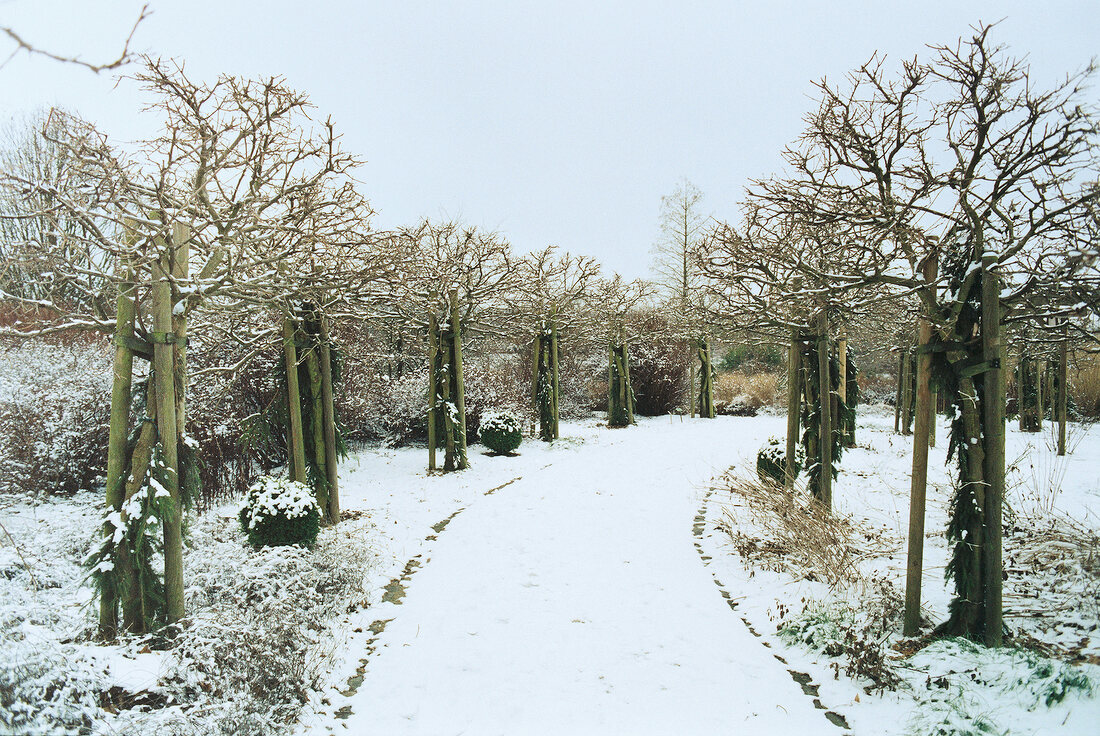 View of winter landscape with snow covered road and bare trees