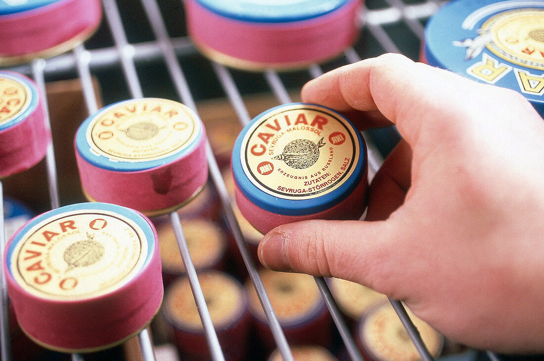 Close-up of canned caviar in hand