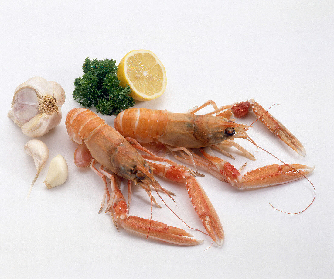 Brittany langoustines with garlic and lime on white background