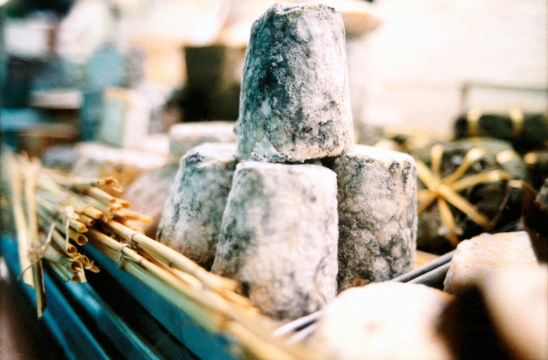 Close-up of goat cheese chabichou