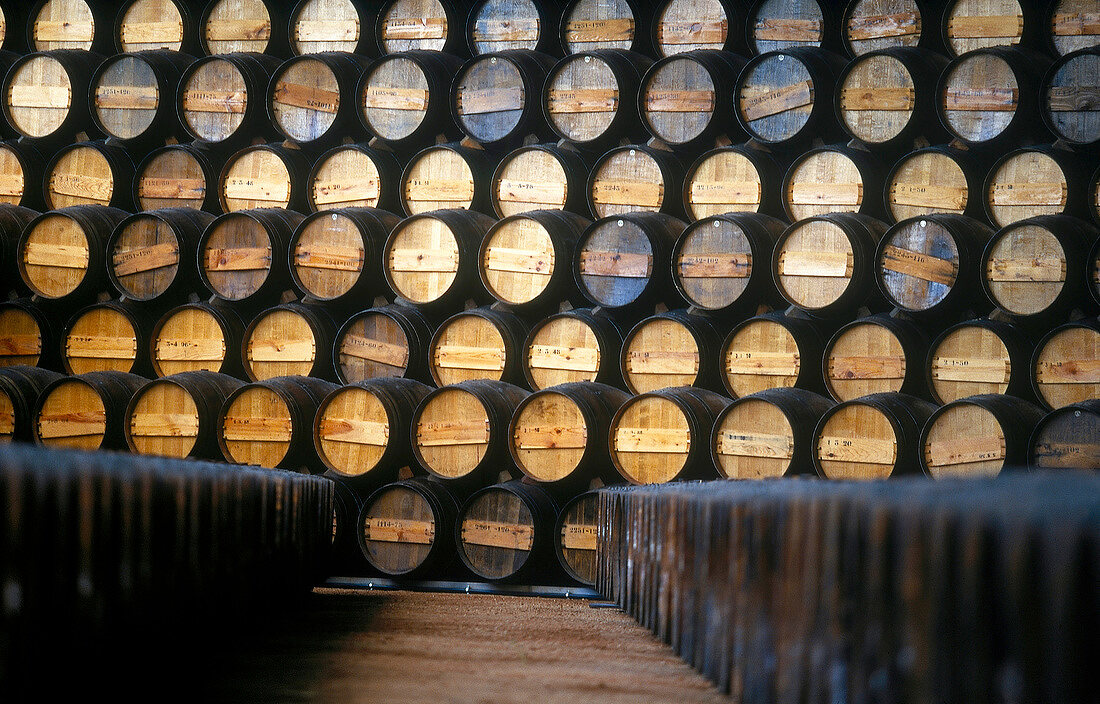 Weinfässer mit Muskateller reifen in einem portugiesischen Weinkeller