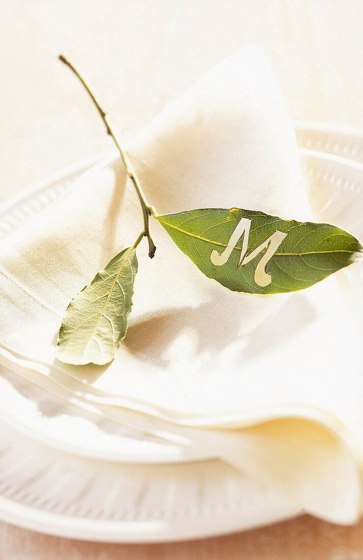 Bay leaf with cut initial 'M' symbolising as card on table