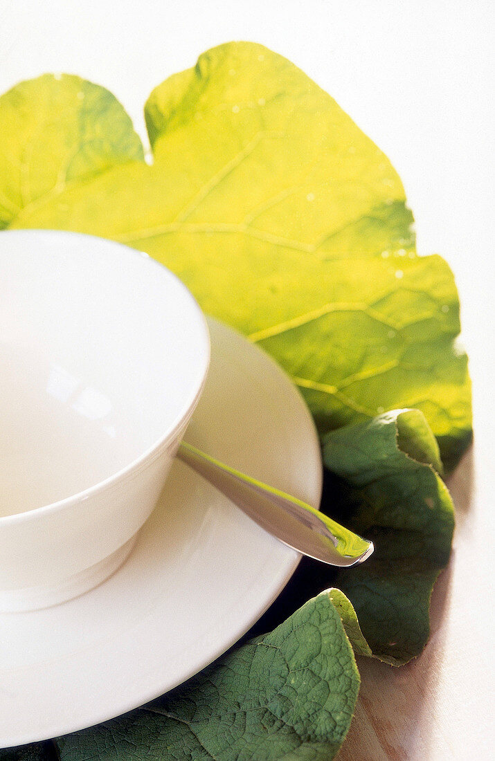 Close-up of cereal bowl decorated with rhubarb leaf