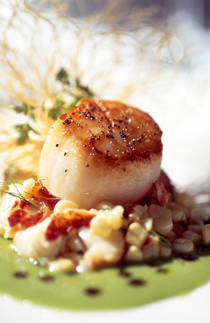 Close-up of fried scallop with vegetable ragout