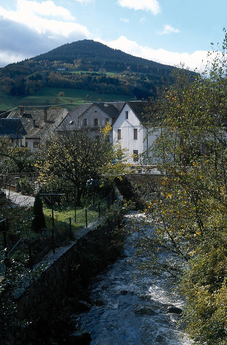 Ein Bach am Dorf Steige im Elsaß 