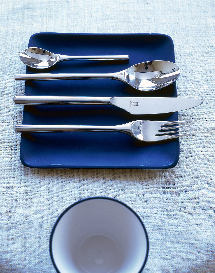 Designer cutlery on plate, overhead view