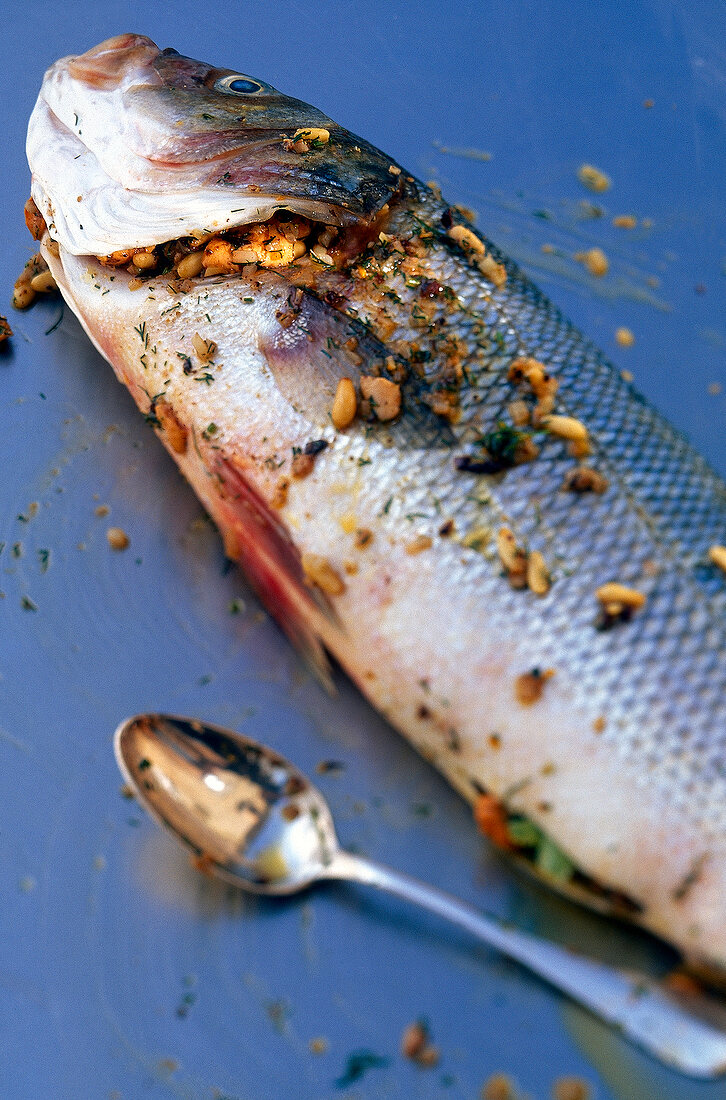 Close-up of raw sea bass next to a spoon