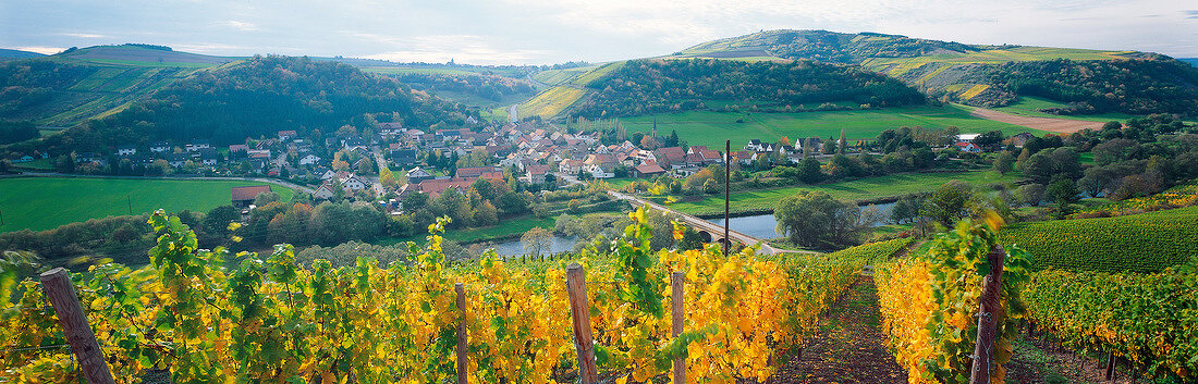 View of vineyards and winemaker village Oberhausen an der Nahe, Germany