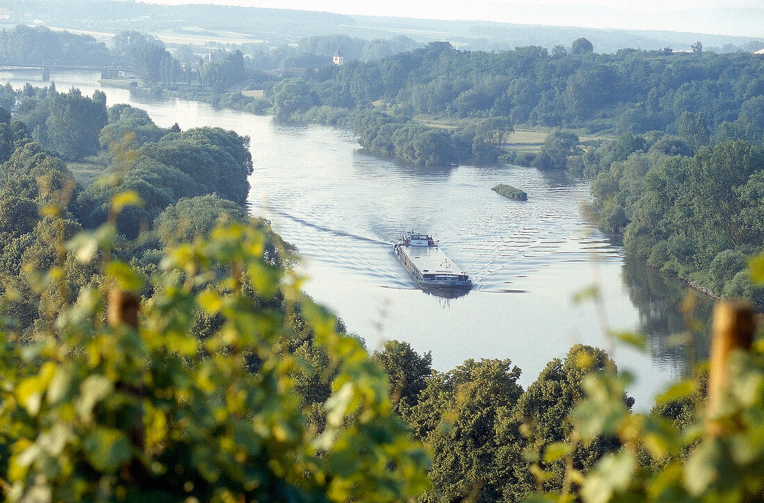 View of vineyard with ferry passing in river in Wurzburg, Bavaria, Germany