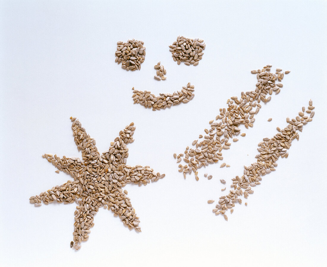 Various shapes made from sunflower seeds on white background