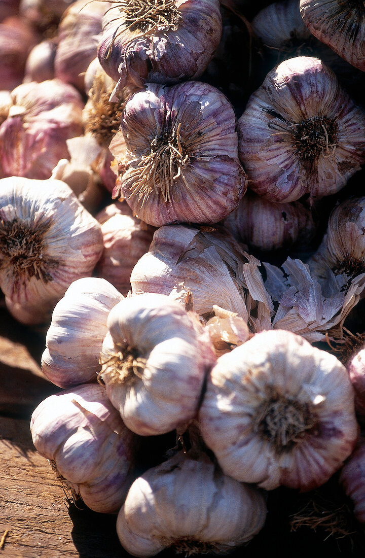 Close-up of garlic pods