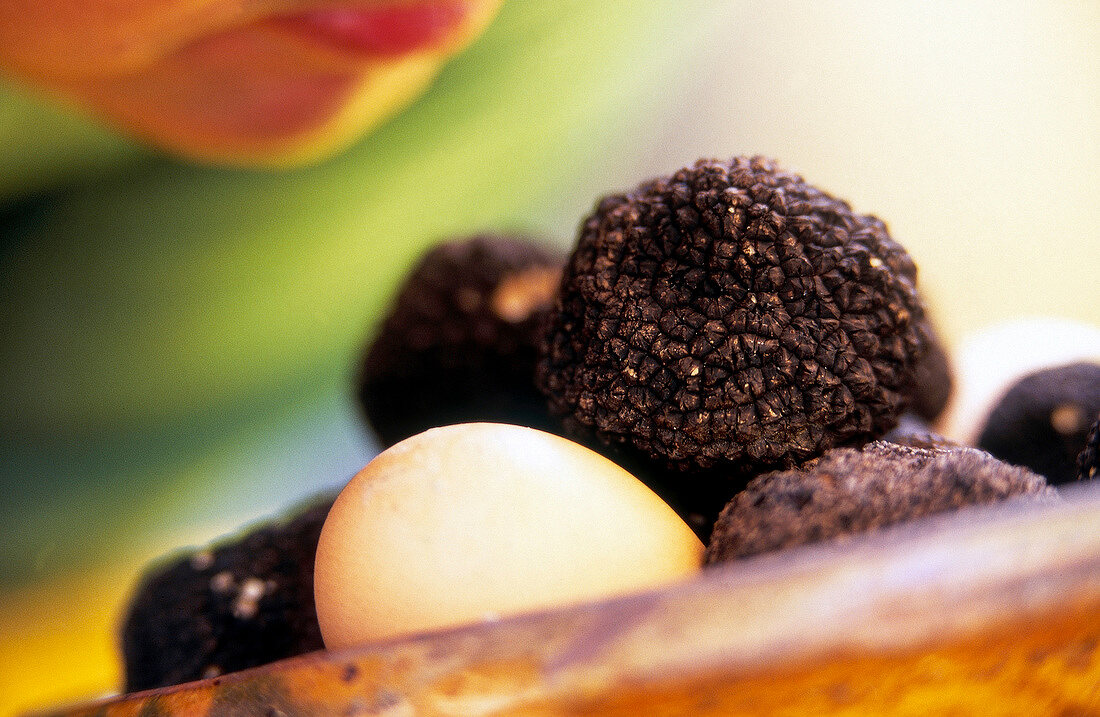 Close-up of truffle from Provence