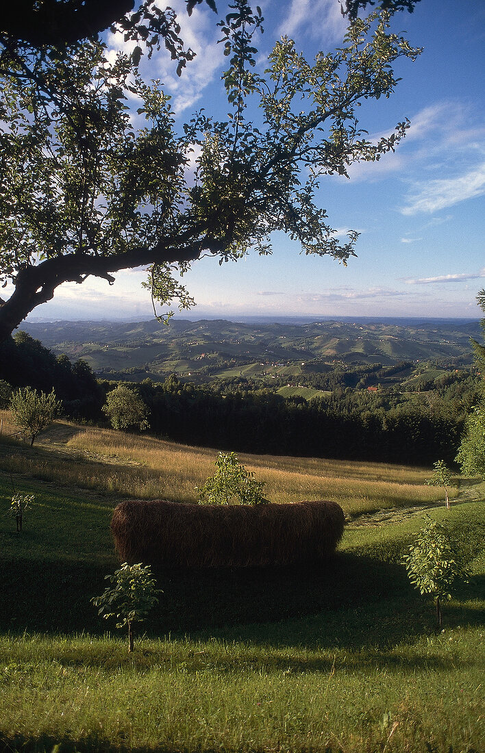 View of hills in Styria, Austria