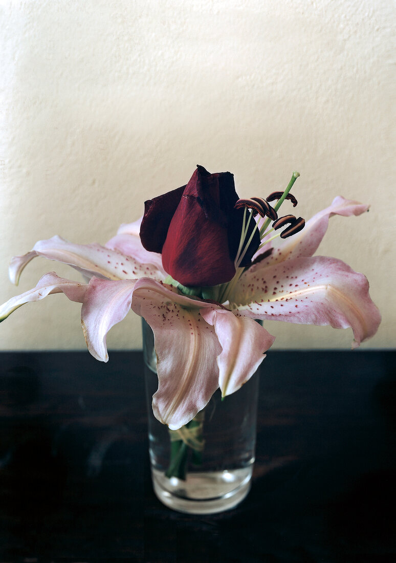 Close-up of lilies and rosebud in glass