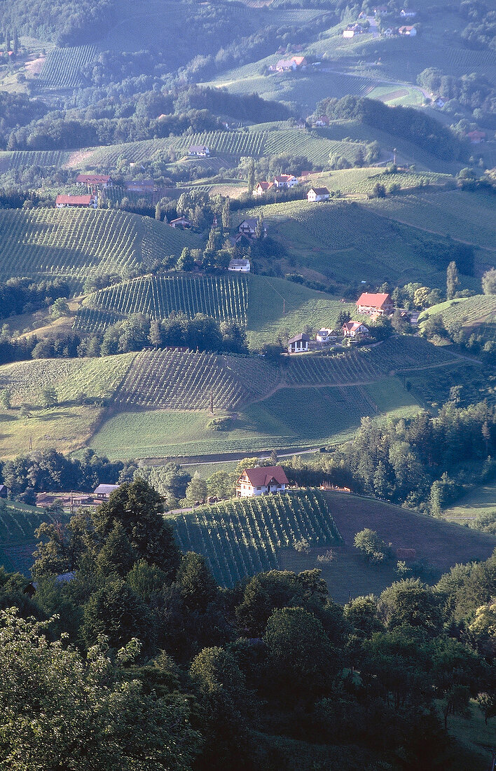 View of hills with lush in Styria, Austria